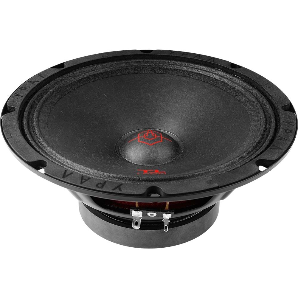 URAL TT-200 150 rms 20cm Midrange