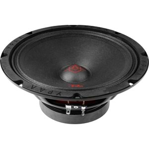 URAL TT-200 150 rms 20cm Midrange