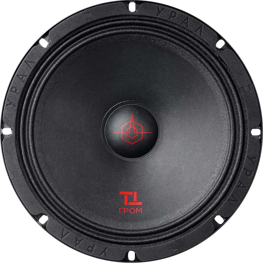 URAL TT-200 150 rms 20cm Midrange